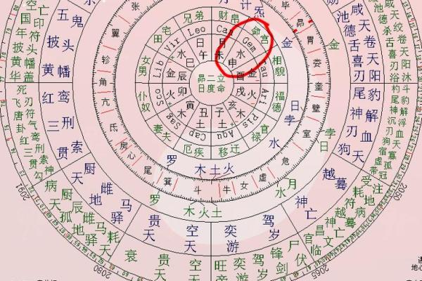 紫薇斗数好命盘