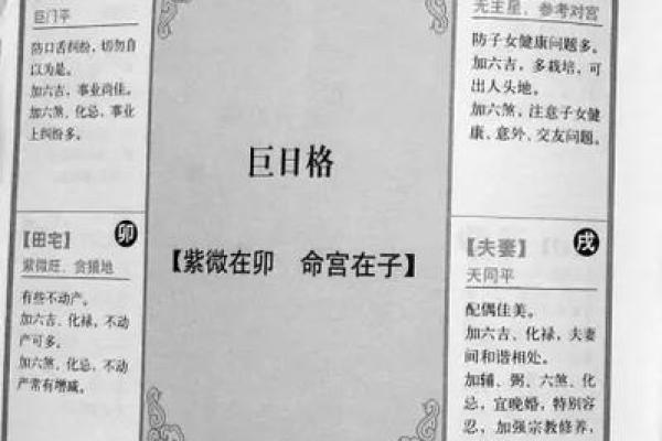 紫薇斗数好命盘