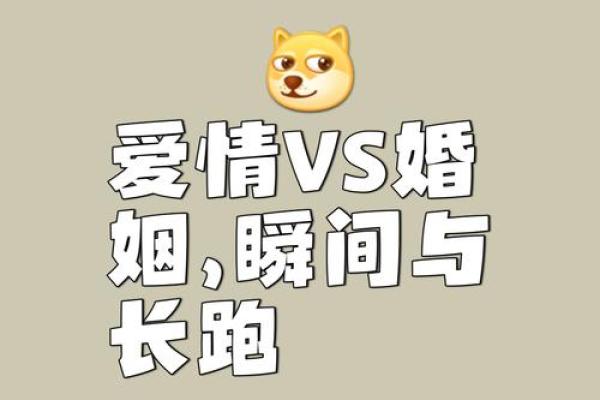 爱情和婚姻是一回事吗 姓名配对两人爱情结果 爱情和婚姻是一回事吗 姓名配对两人爱情结果