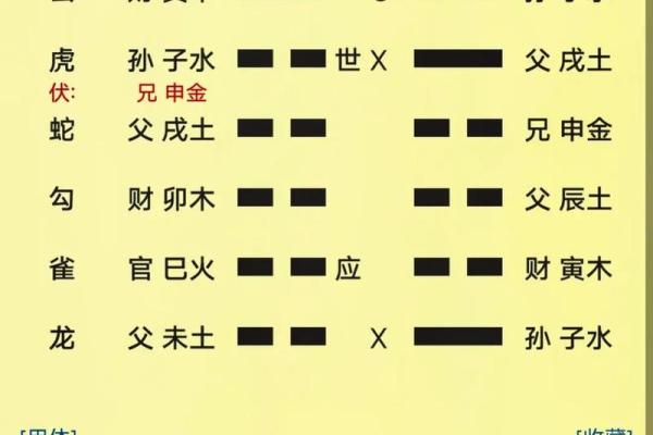 六次硬币算命