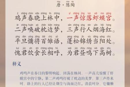 母鸡打鸣算命怎么说,母鸡在早晨打鸣预示什么