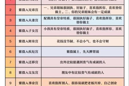 庄氏飞星派紫微斗数 庄氏飞星派紫微斗数入门票 初阶篇 中？