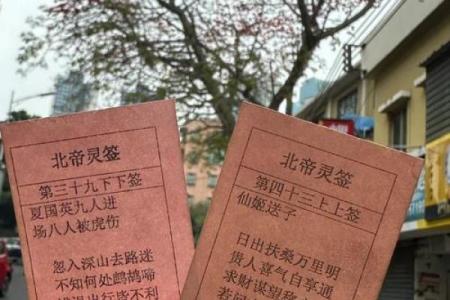 北帝灵签46签解释