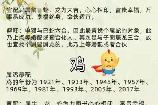 生肖查询:1996年属什么生肖配对 生肖查询:1996年属什么生肖配对