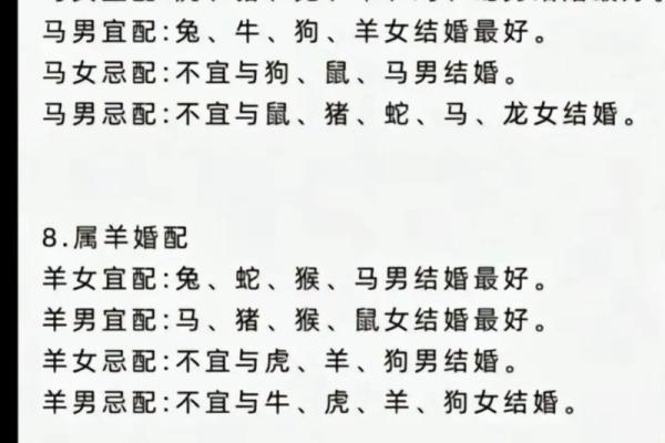 94年属什么的生肖是什么命 94年属什么的生肖配对 94年属什么的生肖是什么命 94年属什么的生肖配对