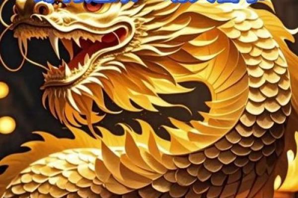 属龙的跟属龙的结婚属上等婚吗 配对要注意什么