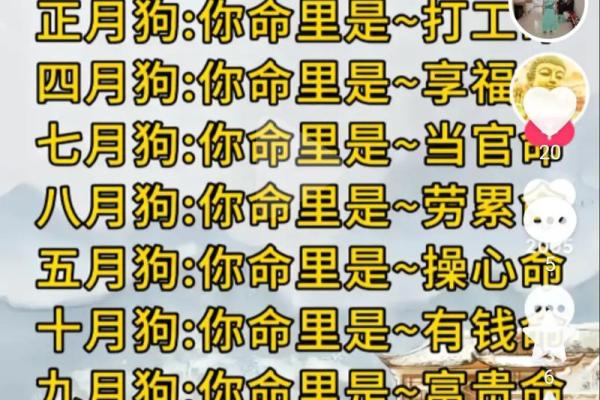 2001年属什么生肖属于什么命 2001年属什么生肖配对虎 2001年属什么生肖属于什么命 2001年属什么生肖配对虎