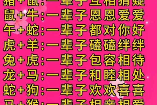 鸡跟什么生肖配对最好