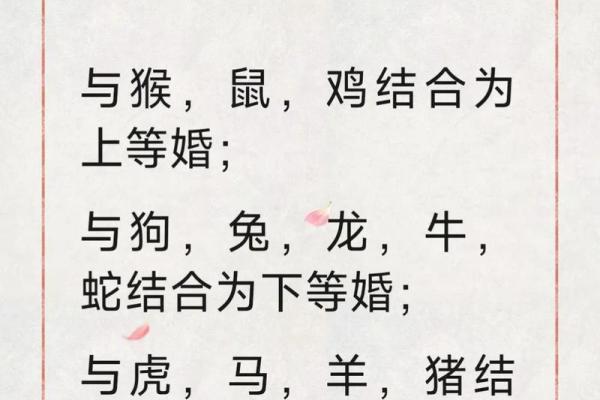 属龙女跟什么属相最配对