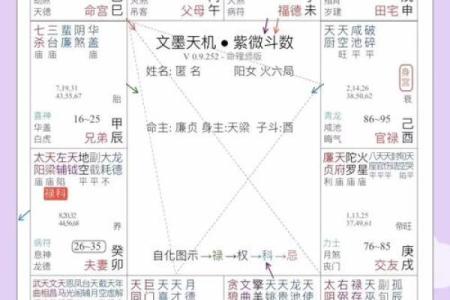 紫薇斗数怎么起运