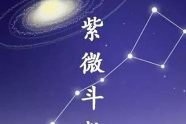传媒公司紫薇斗数