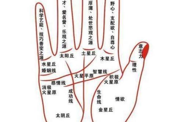 手相算命：几种重要的手纹图解