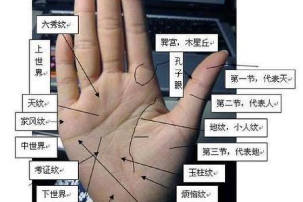 手相算命：几种重要的手纹图解