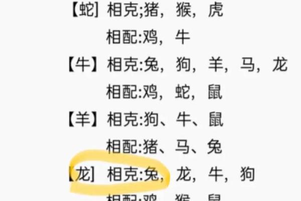 生肖兔和兔的配对是否适合