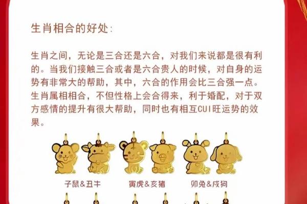大家我算命网