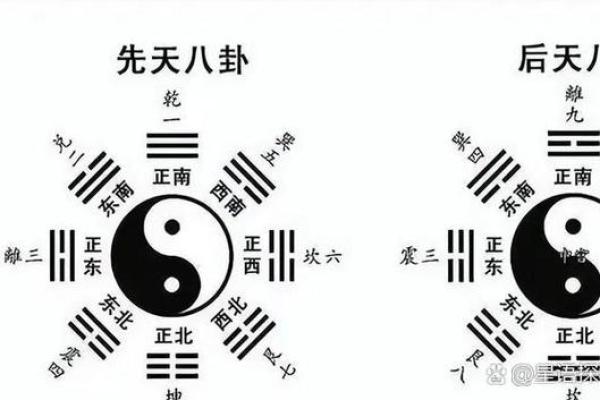 风水算命有什么区别