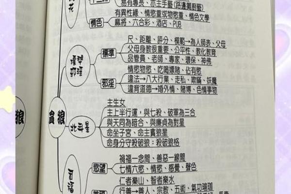 女命紫薇斗数夫妻宫贪狼