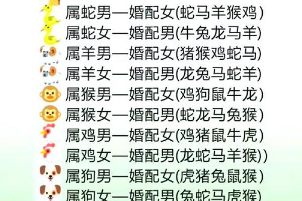 生肖配对：属马的和什么属相最配
