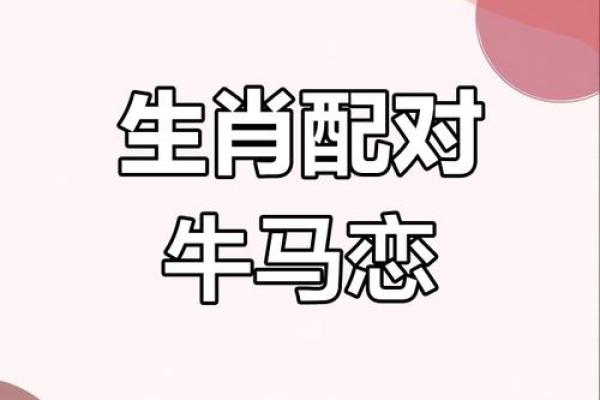 生肖配对：属马的和什么属相最配