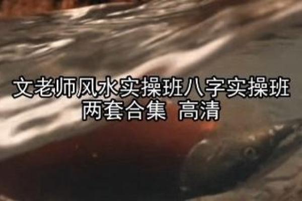 八字老师