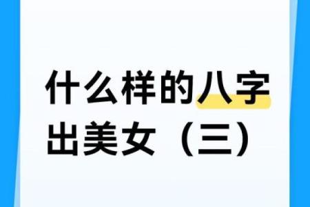 八字txt