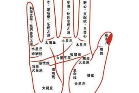 手相算命：几种重要的手纹图解