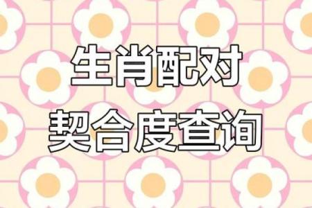 名字测匹配度,免费姓名配对