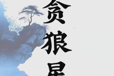 女命紫薇斗数夫妻宫贪狼
