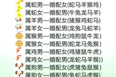 龙生肖配对姻缘 龙生肖配对排名？