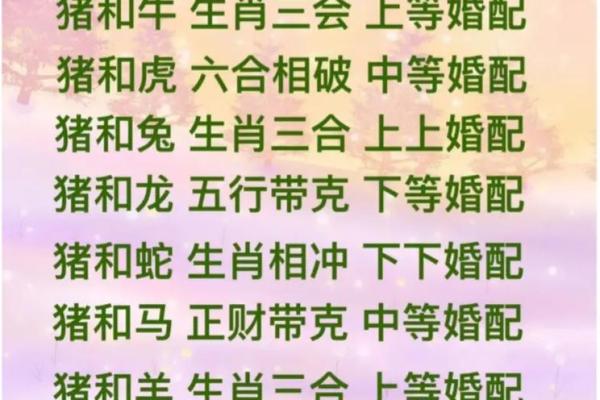 95男猪96女鼠相配吗 95年出生的男性和96年出生的女性是否适合成为配对