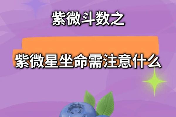 紫薇斗数老年孤独