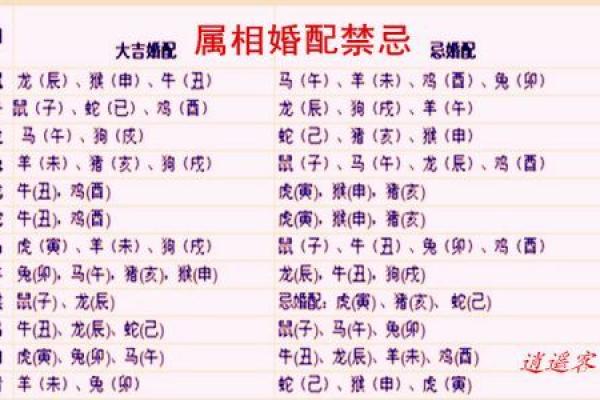 男女婚姻属相配对表 如何利用男女婚姻属相配对表选择恋爱对象