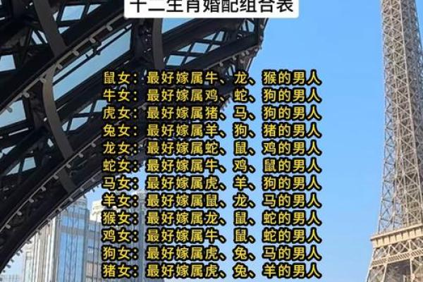 男女婚姻属相配对表 如何利用男女婚姻属相配对表选择恋爱对象