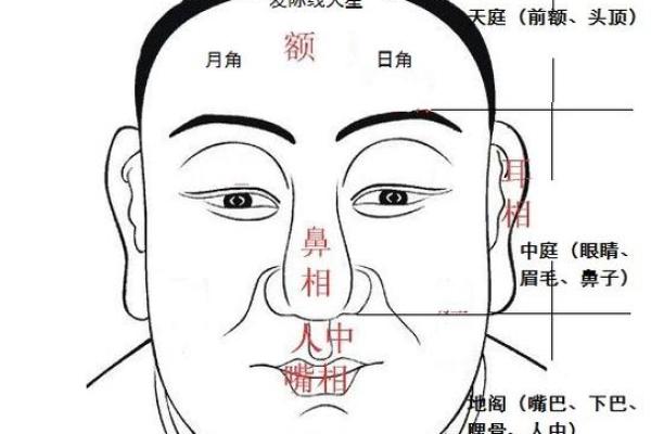 周易算命看面相