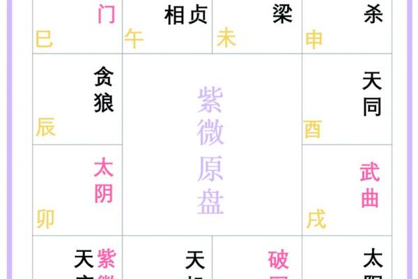 天机紫薇斗数长相