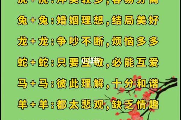 属马女性配对大揭秘：羊男VS狗男，成功婚姻密码在哪？