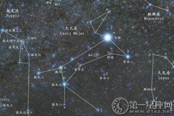 星座小知识：大犬座在什么季节出现