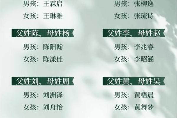 姓名配对男陈女严 陈严取名字？