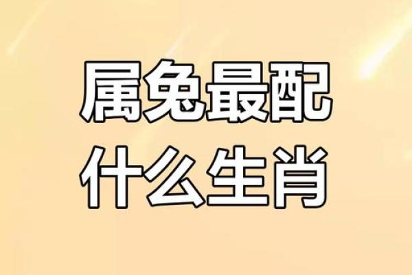 兔跟什么生肖配对最好 生肖兔最佳配对