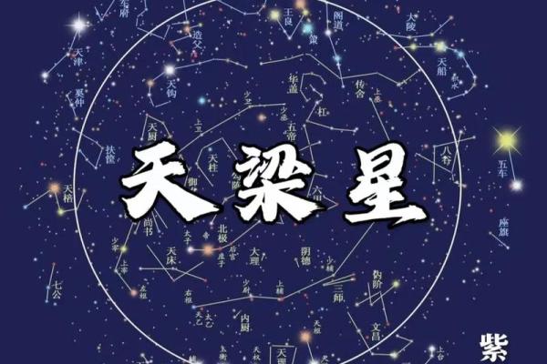 紫薇斗数卡牌