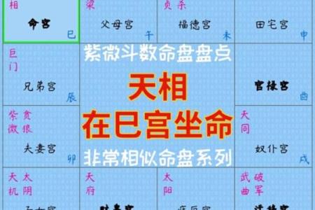 纳音五行紫微斗数哪个更准 纳音五行论命格高低？