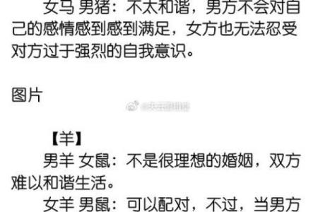 鸡马生肖配对指数 鸡和马属相婚配指数