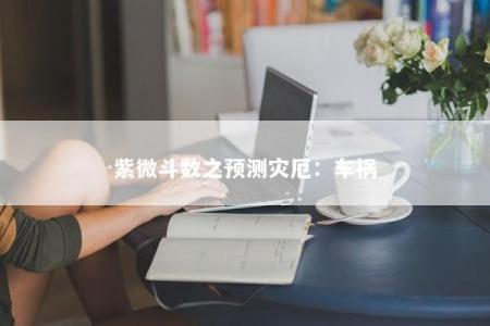 紫微斗数之预测灾厄：车祸