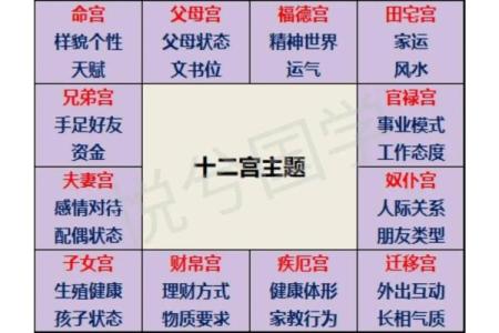 紫微斗数命盘解析：十二宫位