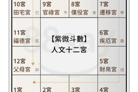 紫薇星盘怎么看姻缘