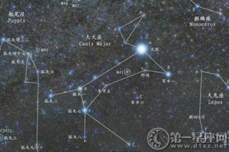 星座小知识：大犬座在什么季节出现
