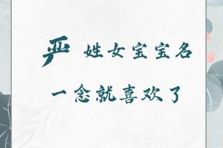 姓名配对男陈女严 陈严取名字？