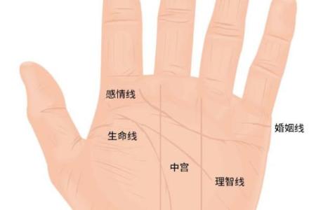 男人手相算命图解揭密男人命运