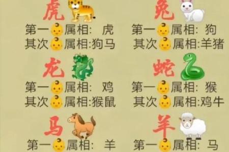 十二生肖配对指数大揭秘