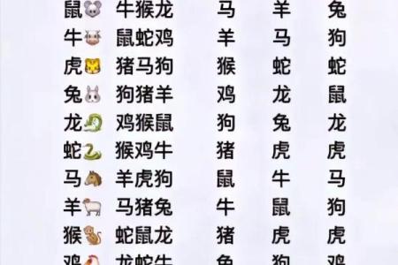 属相婚配表配对查询